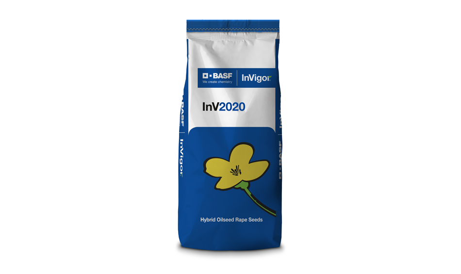   InV2020